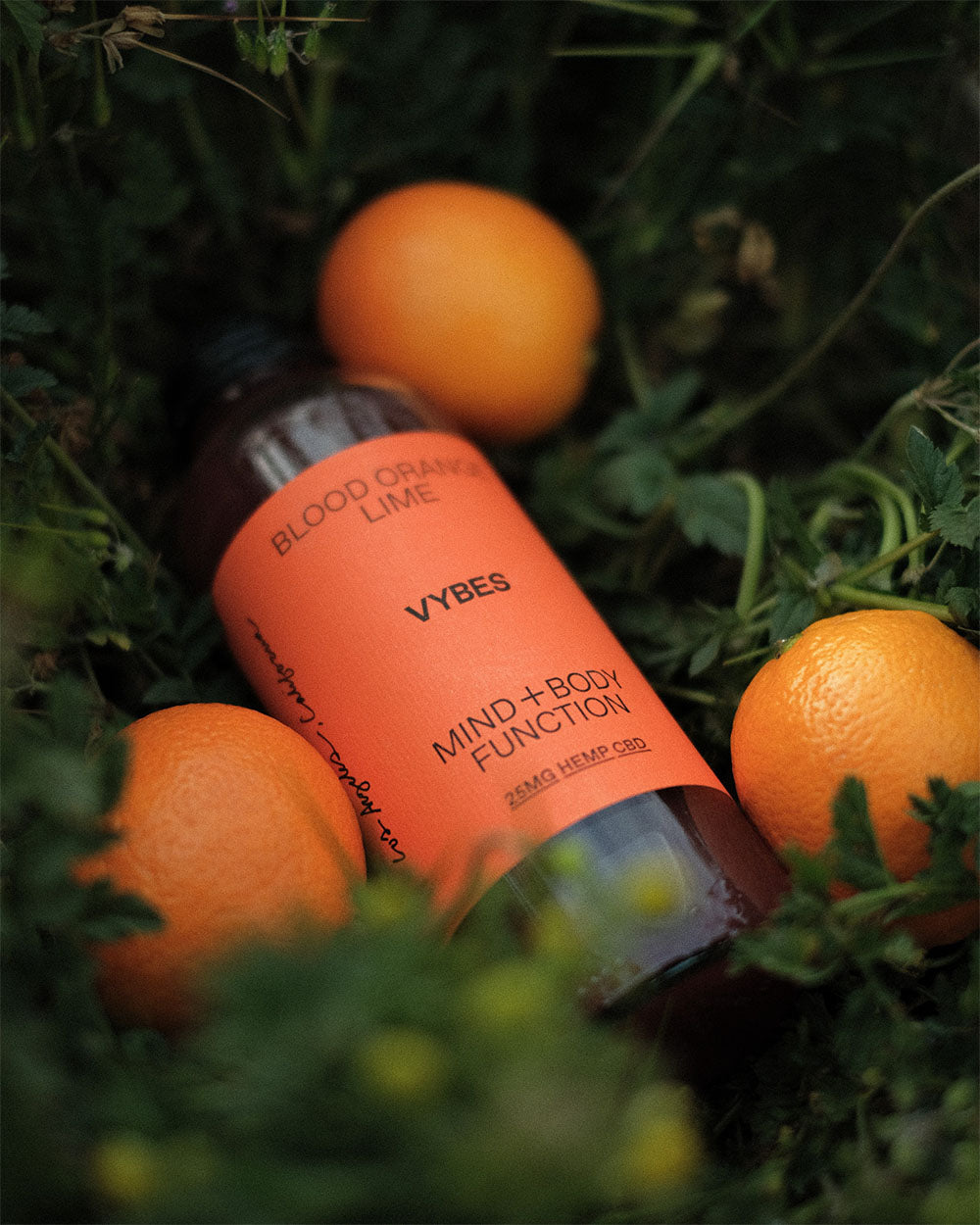 Exploring the Connection Between CBD, Energy, and Whole Body Wellness